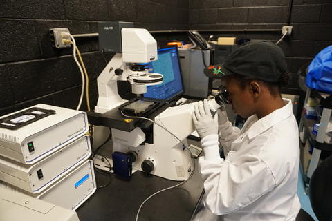 Undergraduate student in lab